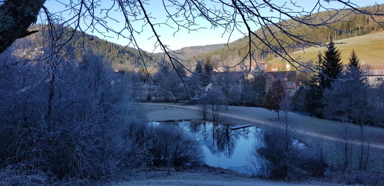 Ferienwohnung "Hirschlein" Im Schwarzwald Баїрсбронн Екстер'єр фото