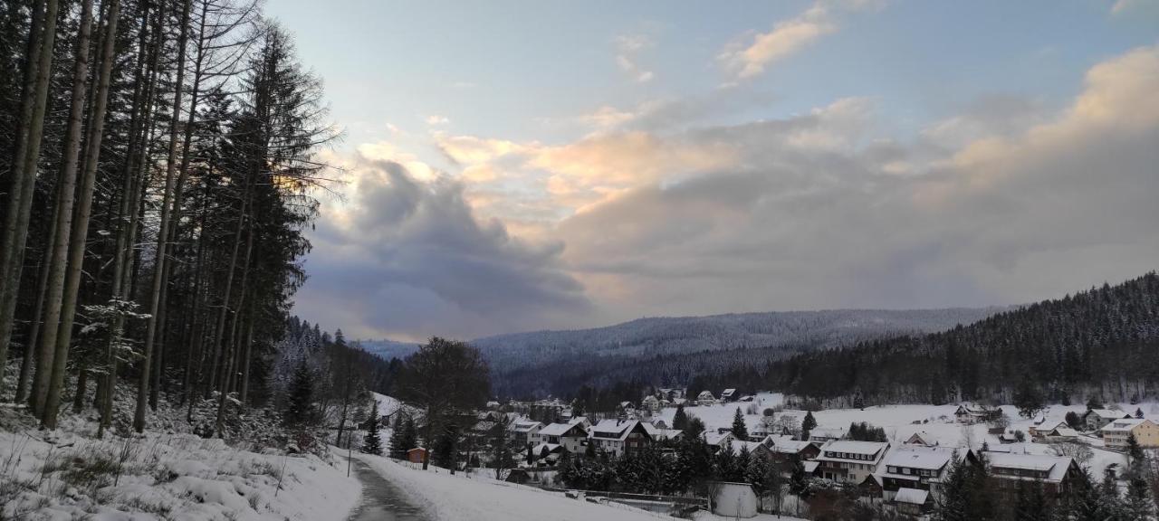 Ferienwohnung "Hirschlein" Im Schwarzwald Баїрсбронн Екстер'єр фото
