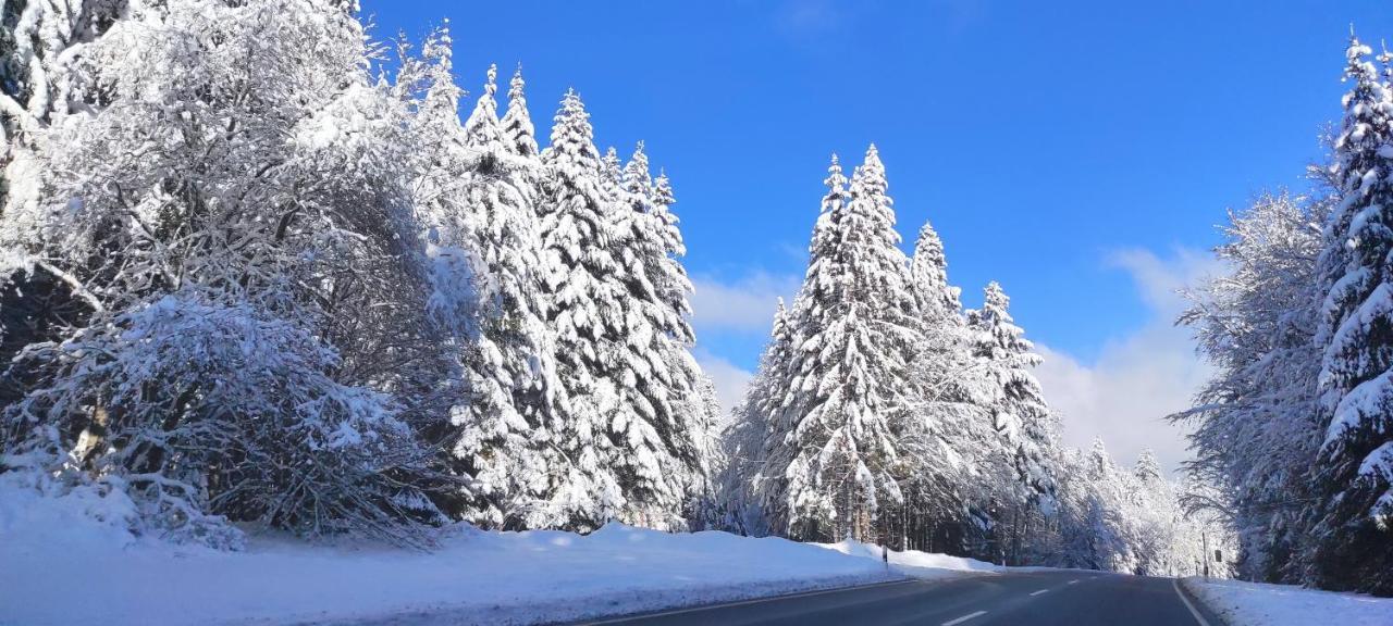 Ferienwohnung "Hirschlein" Im Schwarzwald Баїрсбронн Екстер'єр фото