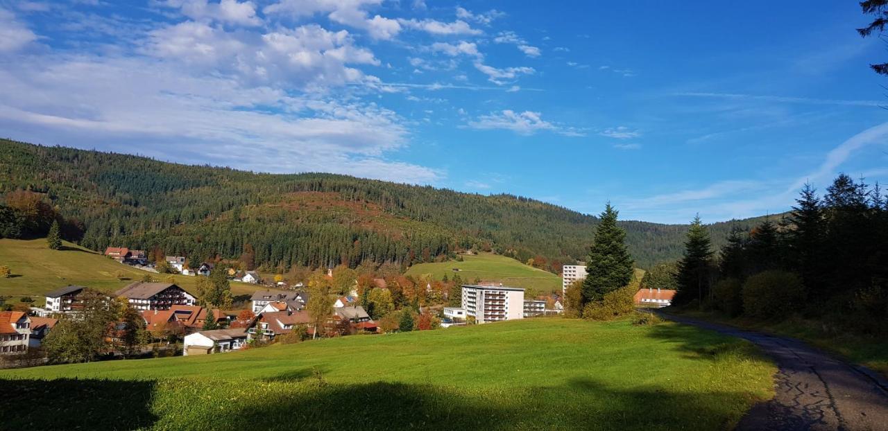 Ferienwohnung "Hirschlein" Im Schwarzwald Баїрсбронн Екстер'єр фото